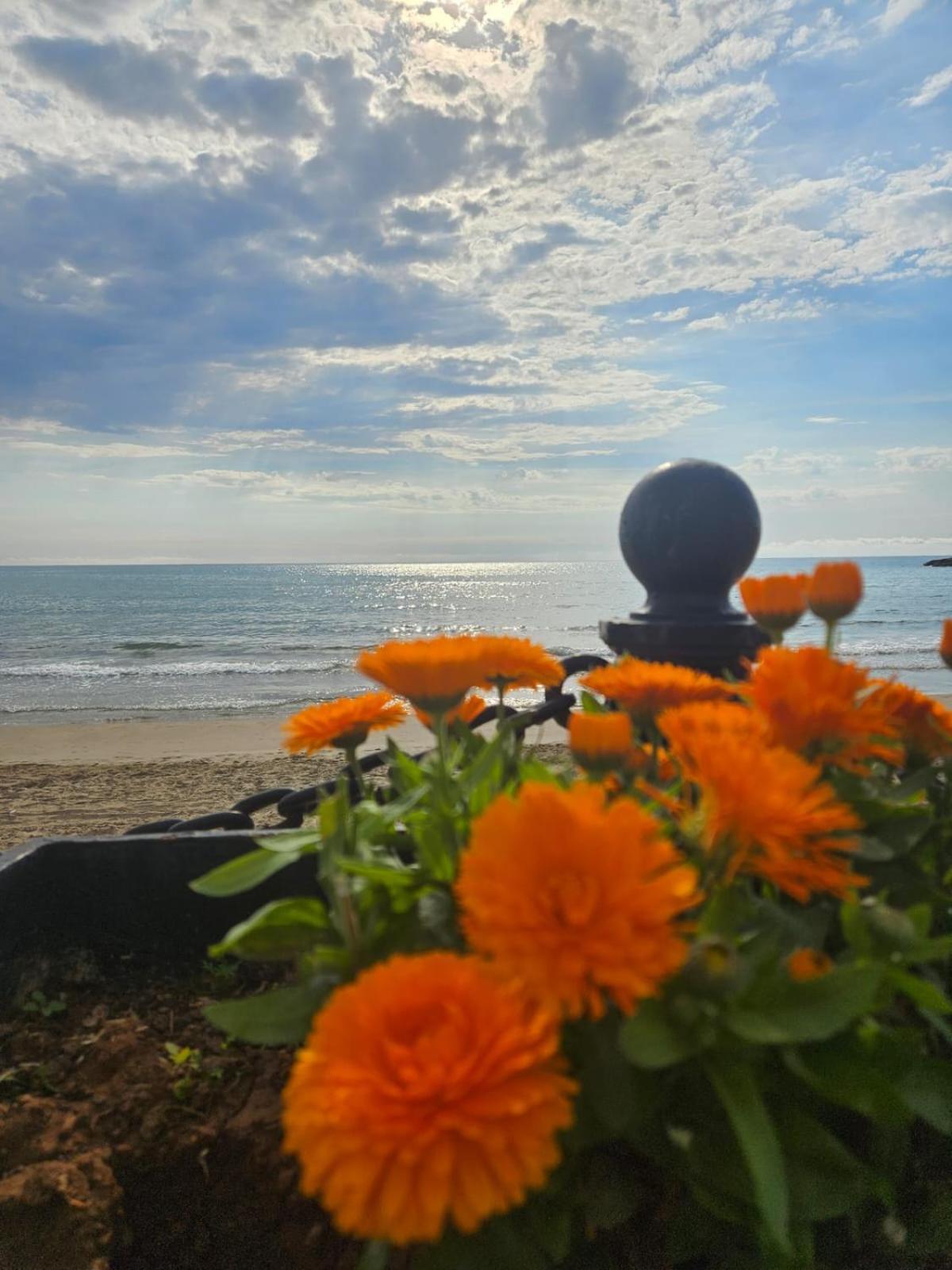 Mondrian Magic World - Sea View First Line Of The Beach Oropesa del Mar Exteriér fotografie