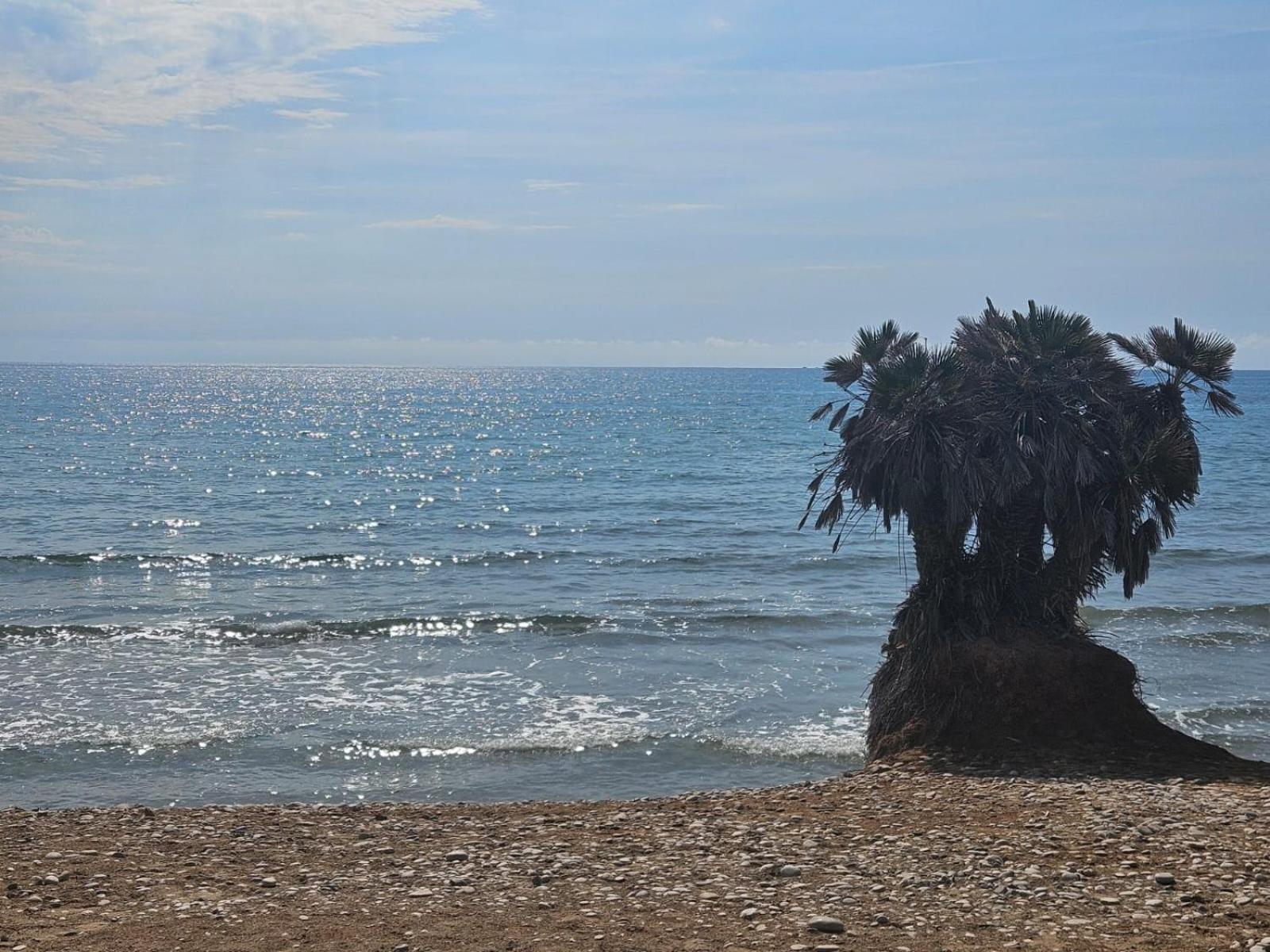 Mondrian Magic World - Sea View First Line Of The Beach Oropesa del Mar Exteriér fotografie