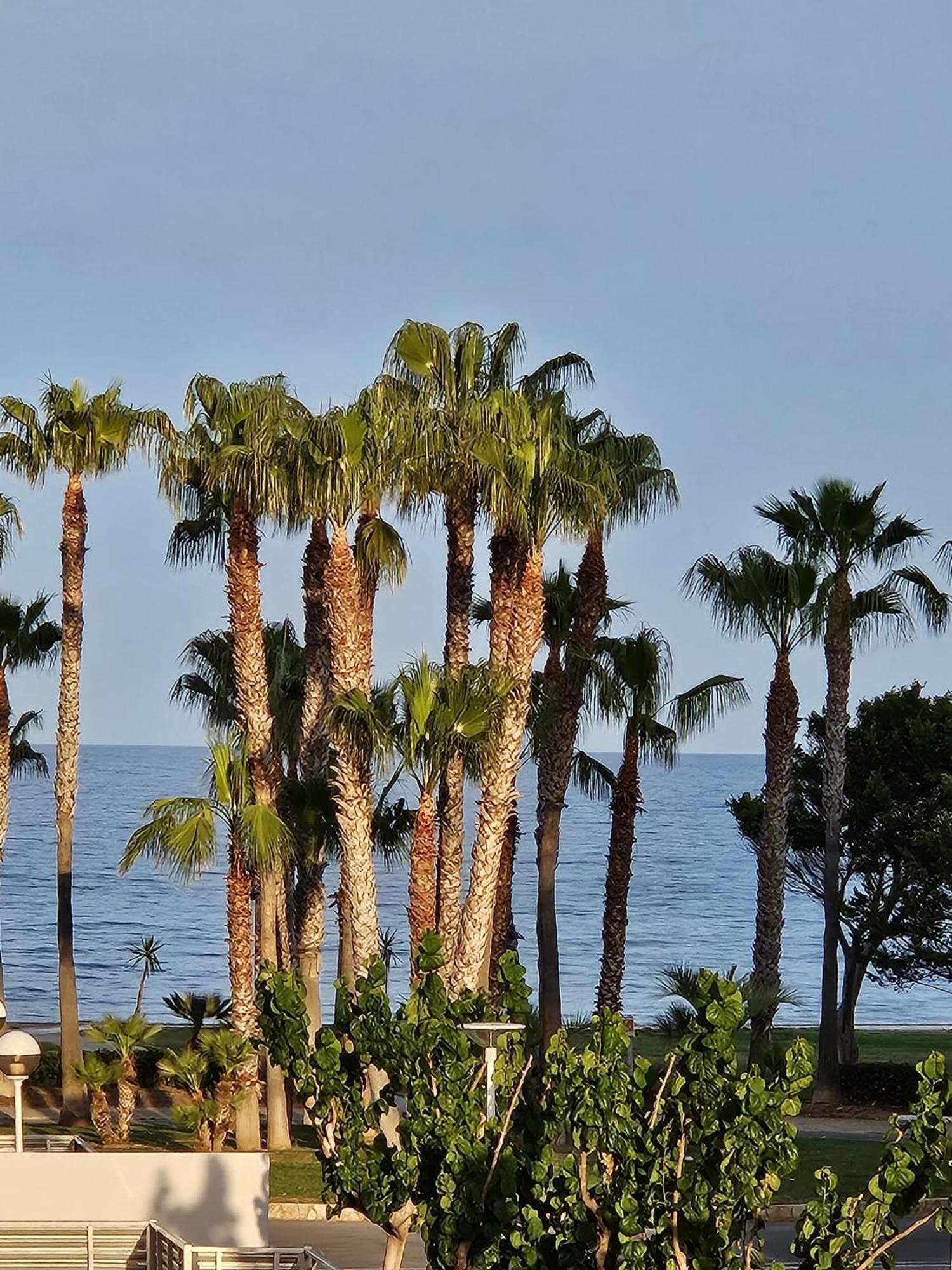 Mondrian Magic World - Sea View First Line Of The Beach Oropesa del Mar Exteriér fotografie